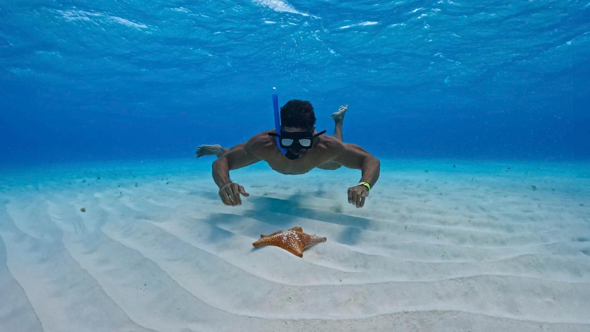 El Cielo Cozumel Snorkeling